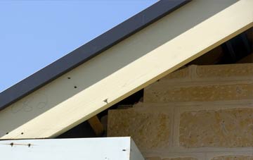 Fintry fascia repairs