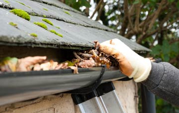 gutter cleaning Fintry
