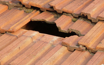 roof repair Fintry