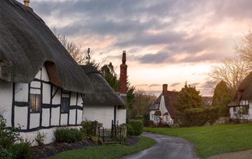 is Fintry thatch roofing popular