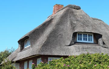 thatch roofing Fintry