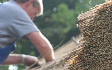 professional Fintry thatchers