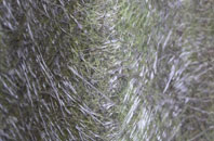 Fintry fibreglass roof work