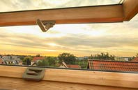 rated Fintry roof window companies